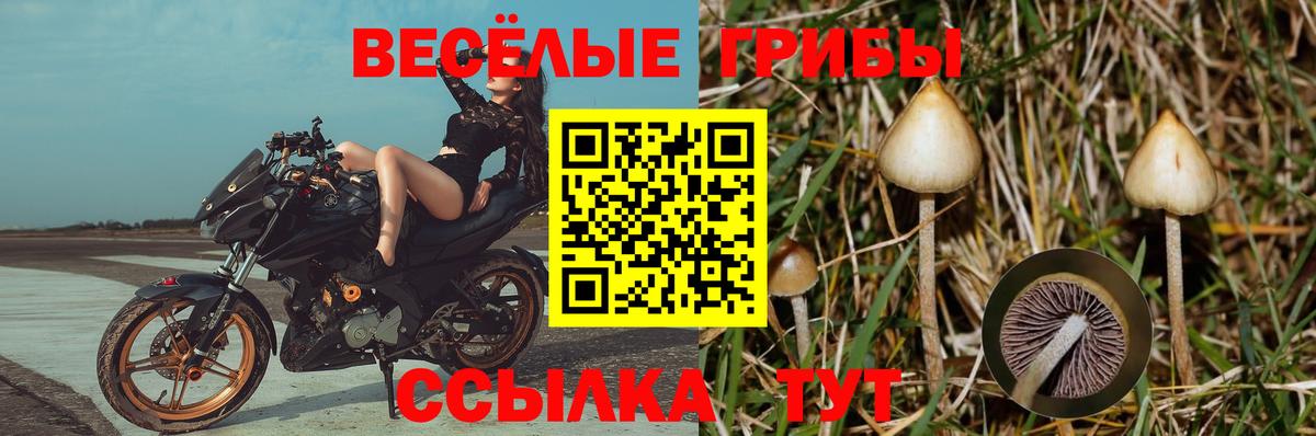 Галлюциногенные грибы GOLDEN TEACHER Киреевск