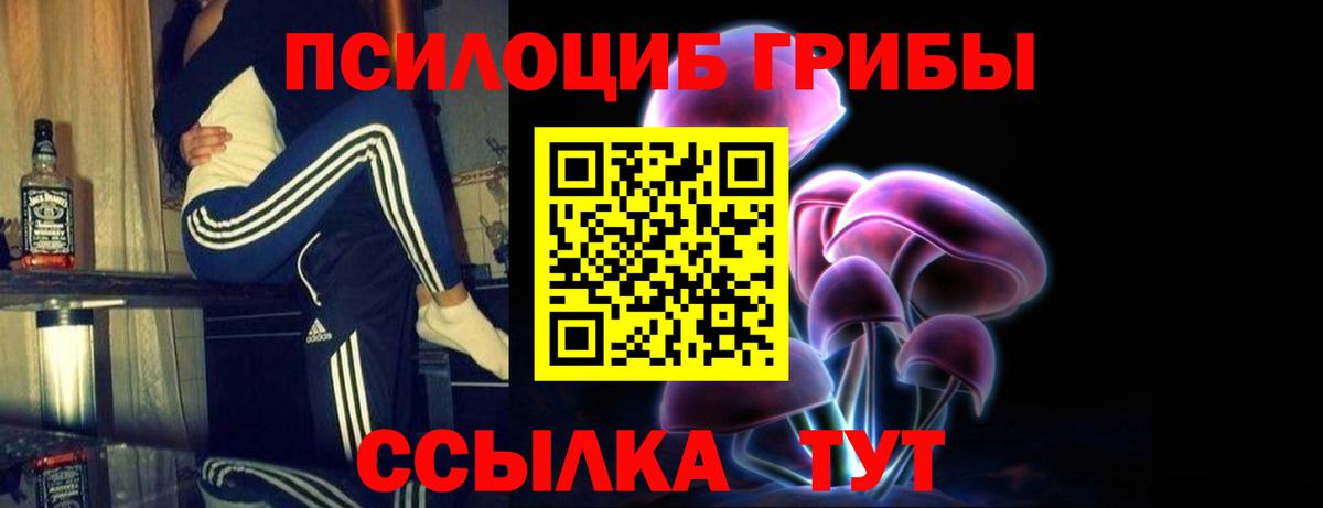Галлюциногенные грибы мухоморы  Вход с VPN  Киреевск 
